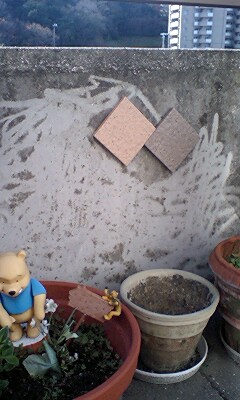 081224_1059~0002.jpg